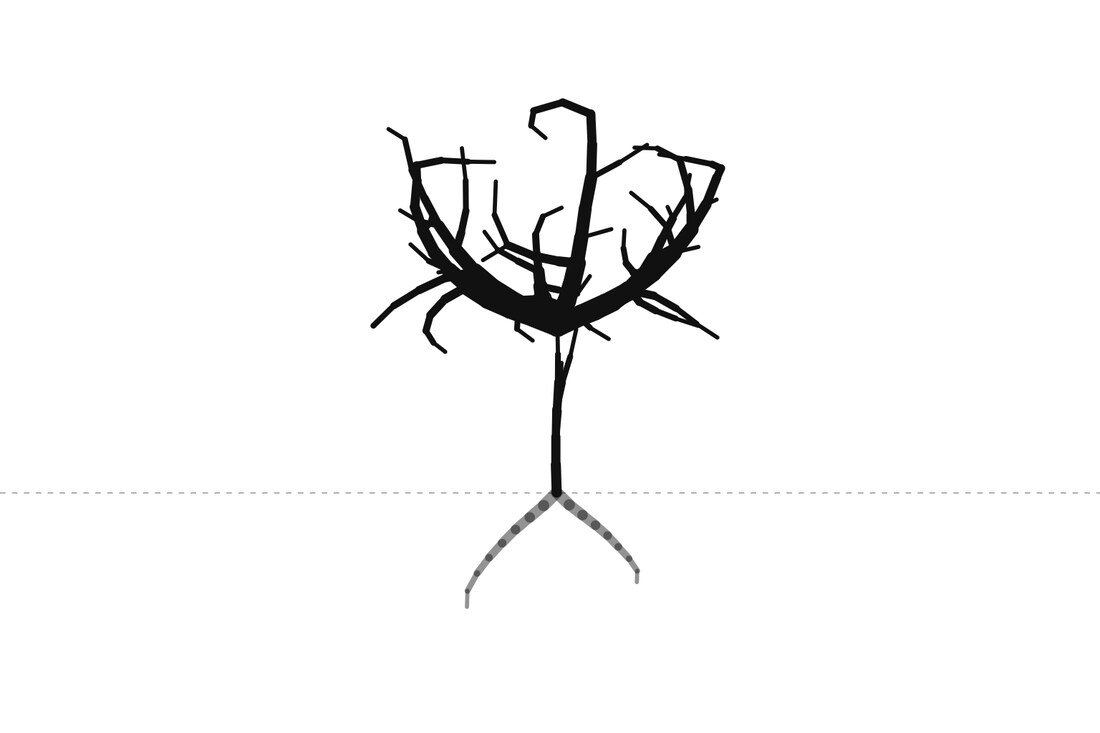 A line drawing of a sparse, lopsided tree: the structure computed from one business's answers.